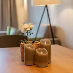 アパートホテル Skylodge Alpine Homes ハウス・イム・エンスタール