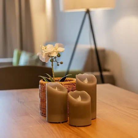 Apartmanhotel Skylodge Alpine Homes Haus im Ennstal